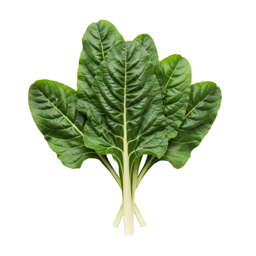 Recetas con Acelgas